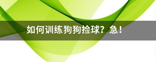 如何利用智能裁判数据提升篮球训练效果_1